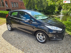 Ford Fiesta - 1.0 EcoBoost Titanium Airco