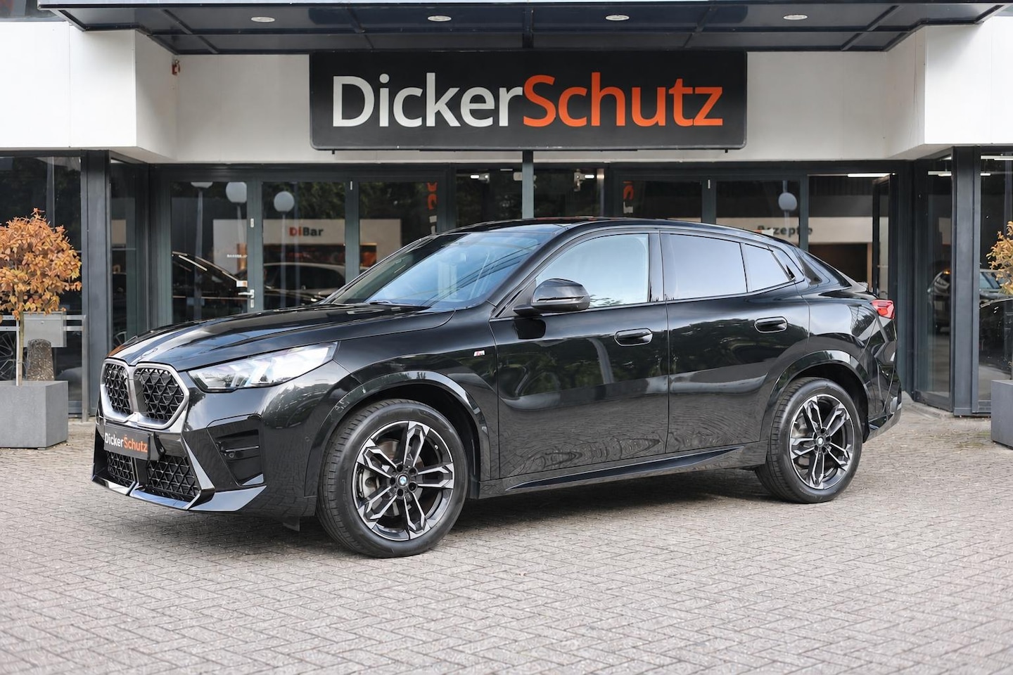 BMW X2 - sDrive20i M Sport Head-Up | Pano | Driving Assistant Professional - AutoWereld.nl