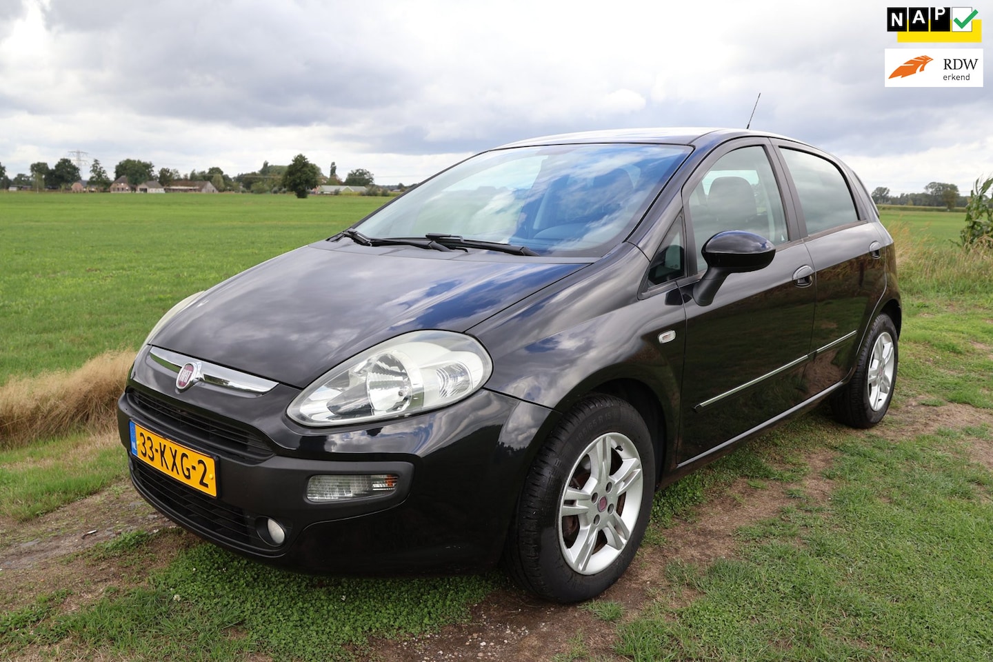 Fiat Punto Evo - 1.4-16V Multiair Dynamic|1e eigenaar|NL-auto-NAP|Airco|Leer|Cruise|6-bak - AutoWereld.nl