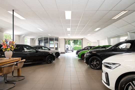Occasion Point Gelderland
