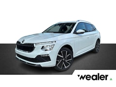 Skoda Kamiq - Business Edition 1.0 TSI 115 PK SUV 7 versn. | Trekhaak | Winterpakket | Camera | Elektris