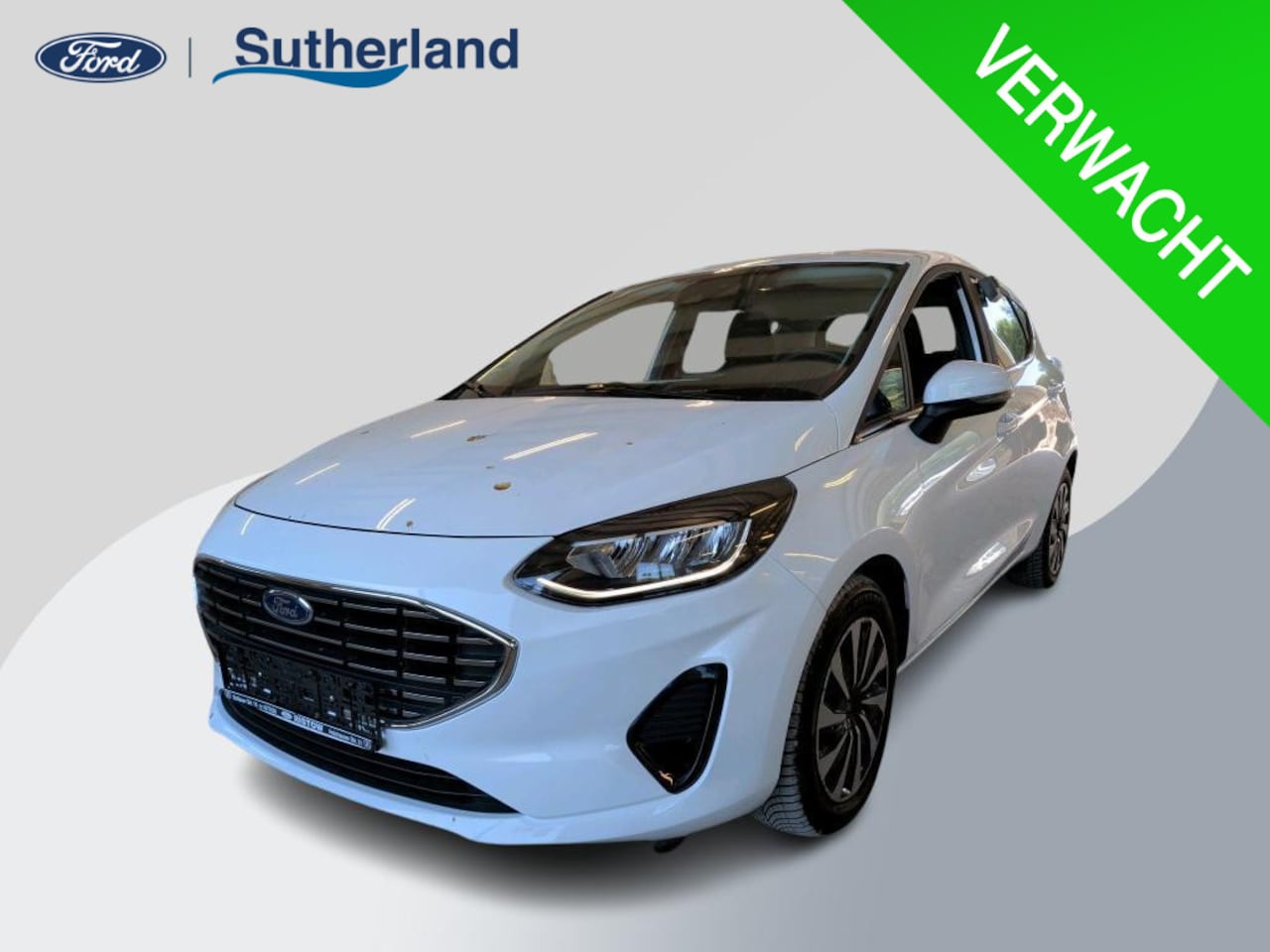 Ford Fiesta - 1.0 EcoBoost Hybrid Titanium | Winter Pack | - AutoWereld.nl