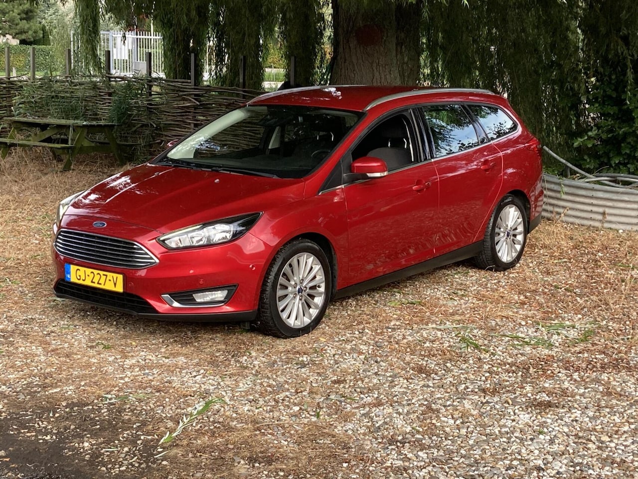 Ford Focus Wagon - 1.0 125pk Titanium Ed. nieuw distributieset - AutoWereld.nl