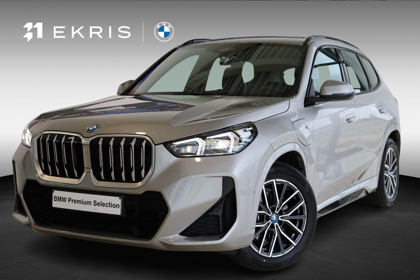 BMW X1 - xDrive25e | M Sport | Driving Assistant Plus | Achteruitrijcamera | Stoelverwarming - AutoWereld.nl