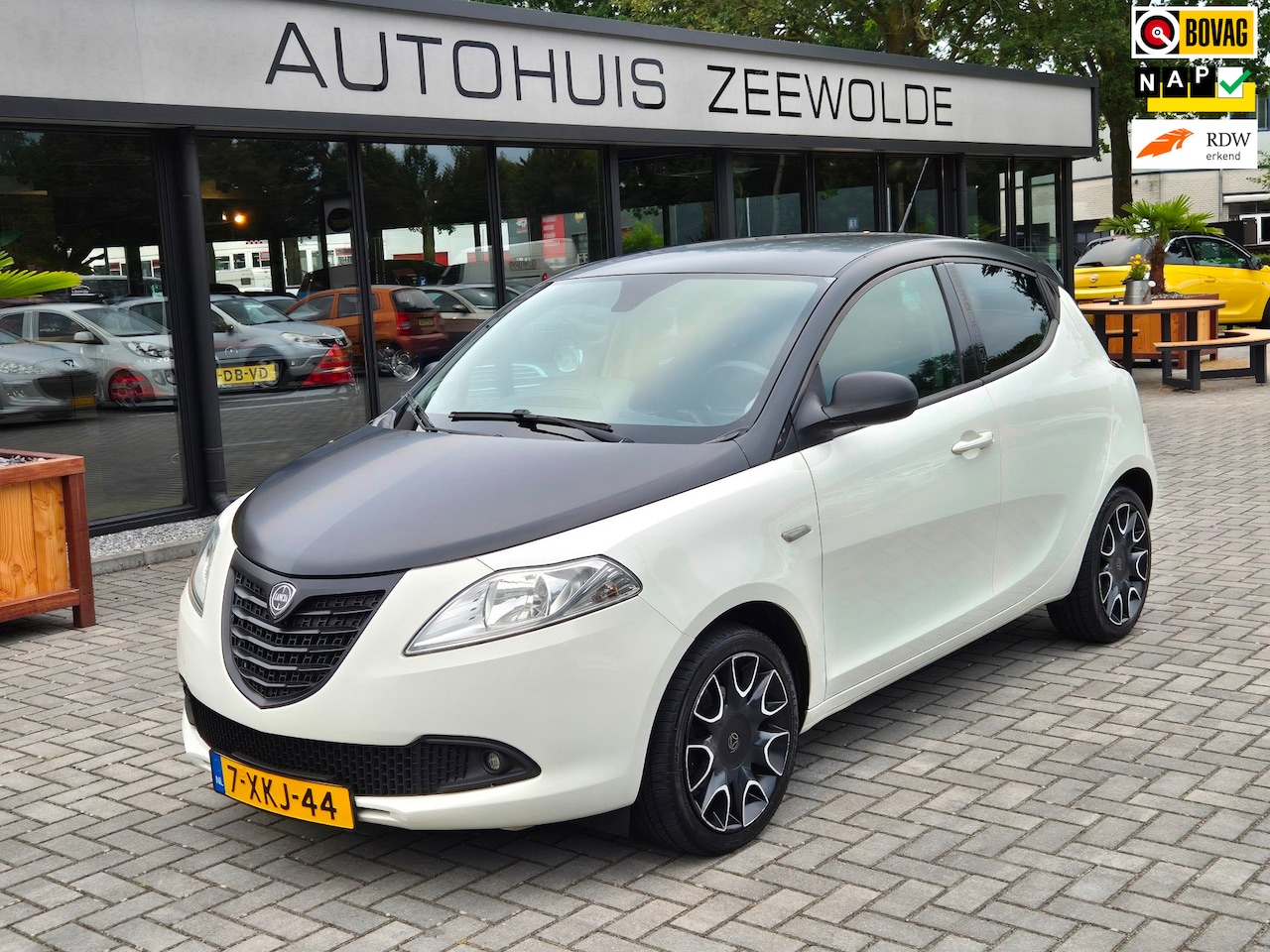 Lancia Y(psilon) - Ypsilon 0.9 TwinAir S MomoDesign I NAP I MOMO - AutoWereld.nl