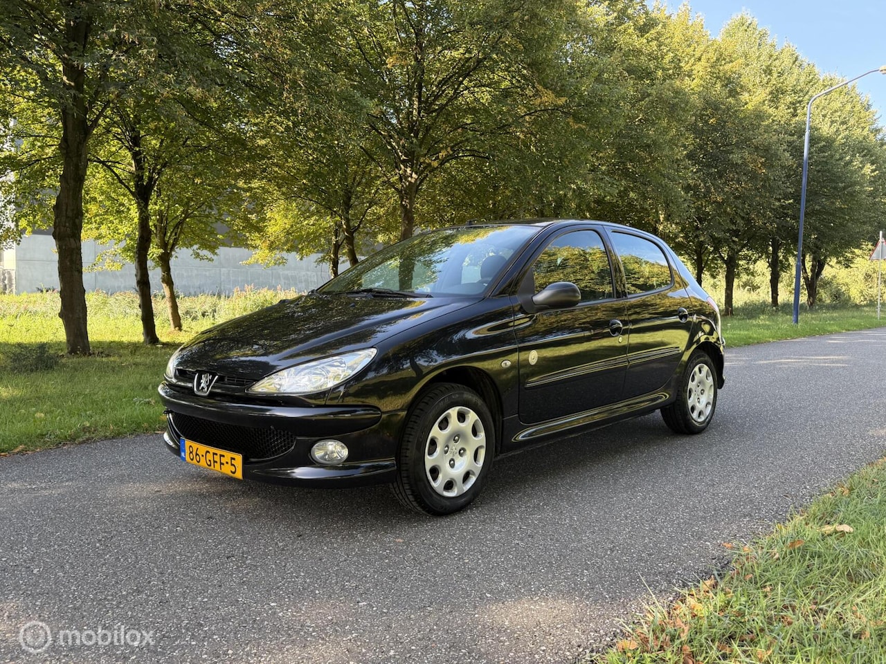 Peugeot 206 - 1.4 Génération*APK 04/27*AIRCO*CRUISE CONTROL - AutoWereld.nl