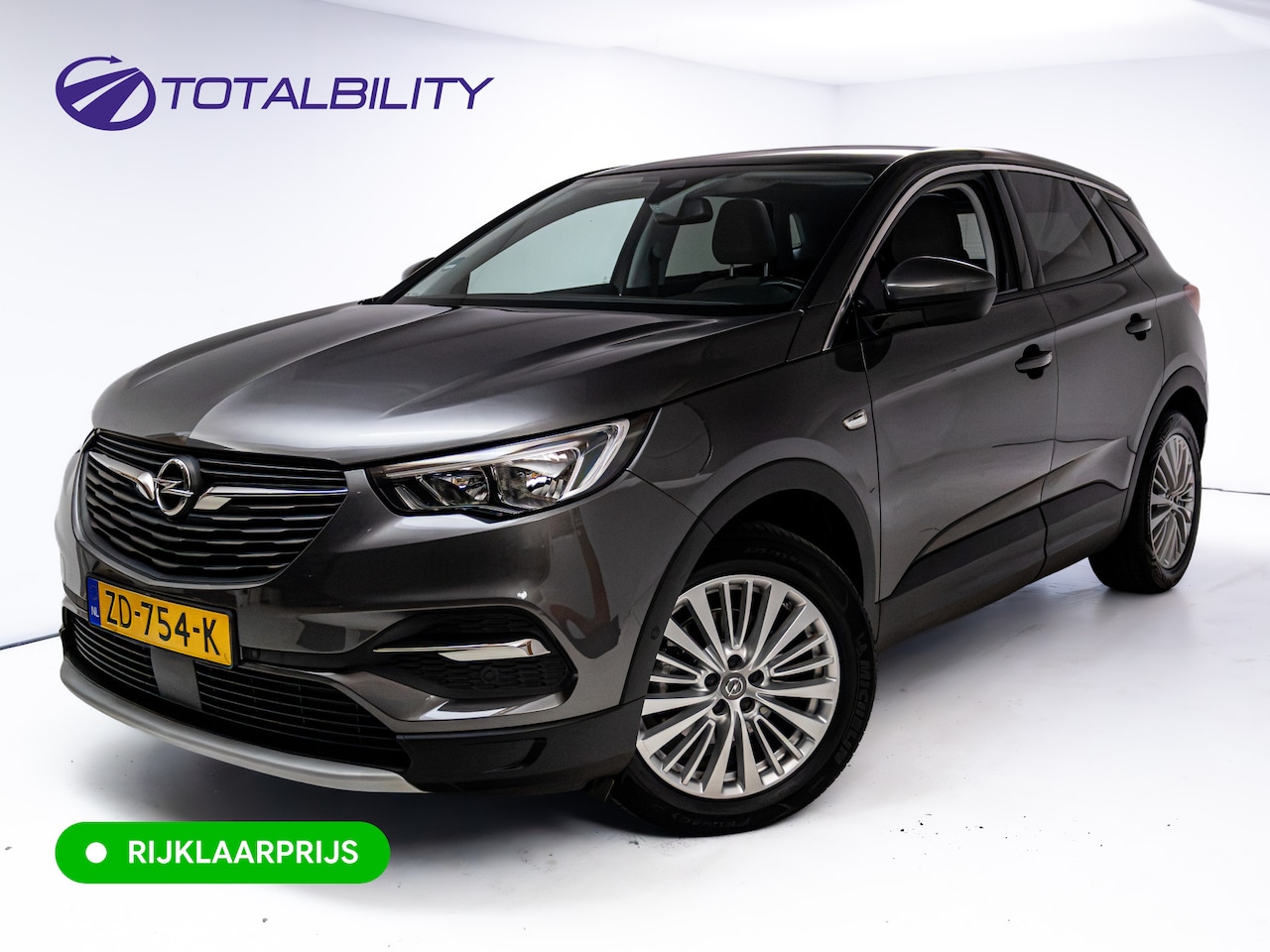 Opel Grandland X - 1.2 Turbo Business Executive | Panoramadak | Nieuwe Distributieriem | Trekhaak | Camera | - AutoWereld.nl