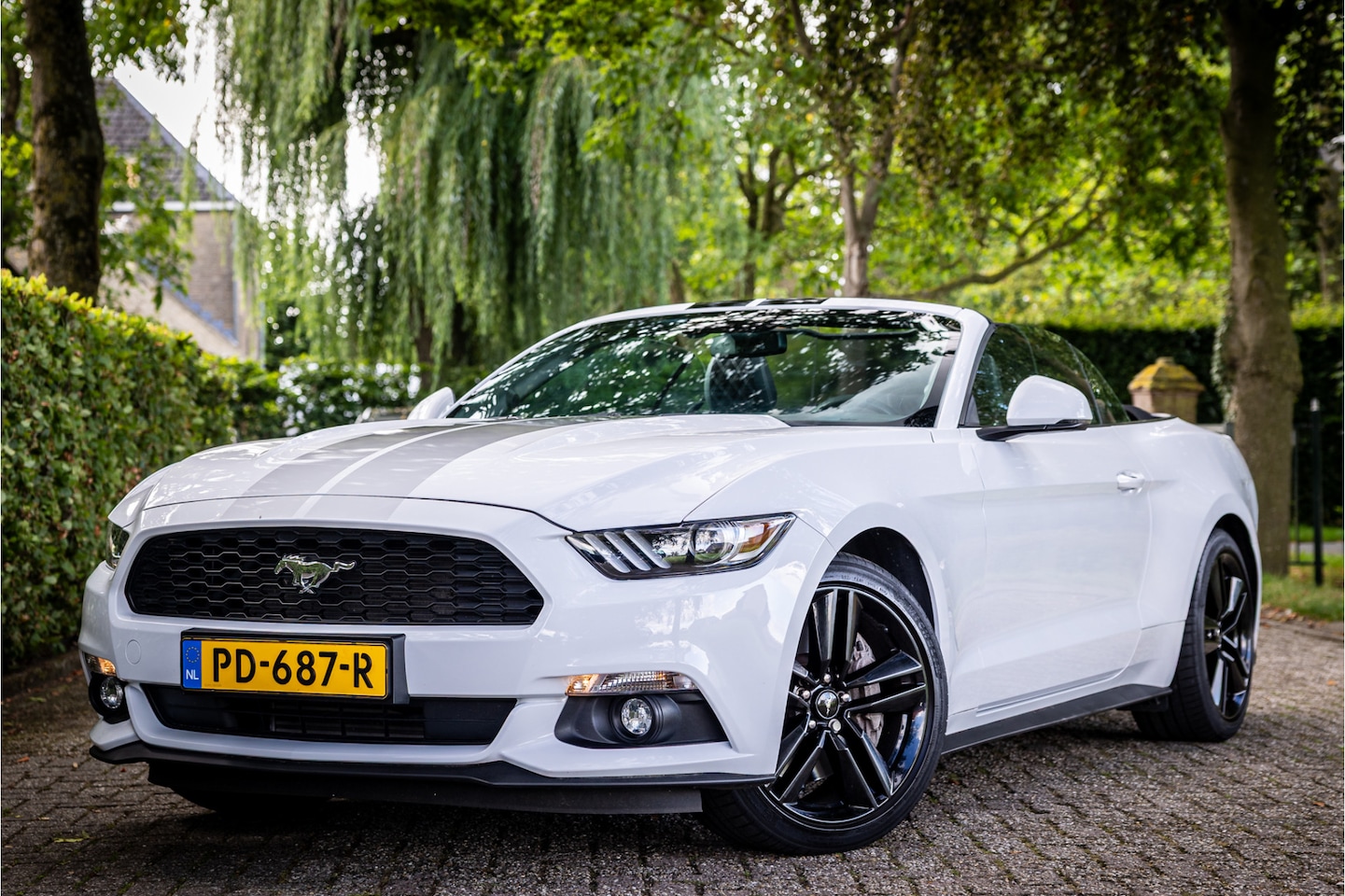 Ford Mustang Convertible - 2.3 EcoBoost Stoelventilatie Shaker Audio NL Auto - AutoWereld.nl