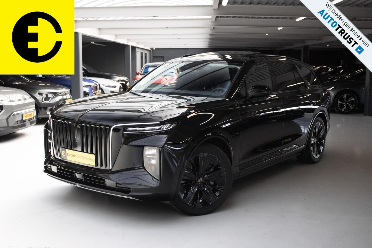 Hongqi E-HS9 - Exclusive | 112KWH | SOH 97,7% | Panorama dak | Incl.BTW - AutoWereld.nl