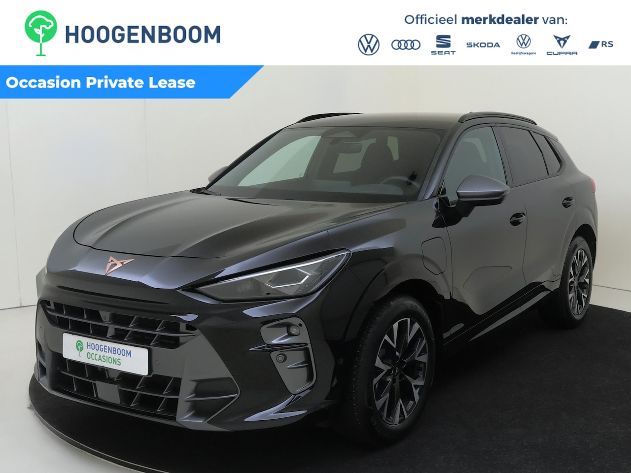 CUPRA Terramar - 1.5 TSI e-Hybrid Business | SoH 100% | 360 camera | Bestuurdersstoel met memory | Head-up - AutoWereld.nl