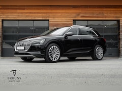 Audi e-tron - 55 quattro Business 95 kWh advanced |1e.Eig.|Lucht|ACC|Camera