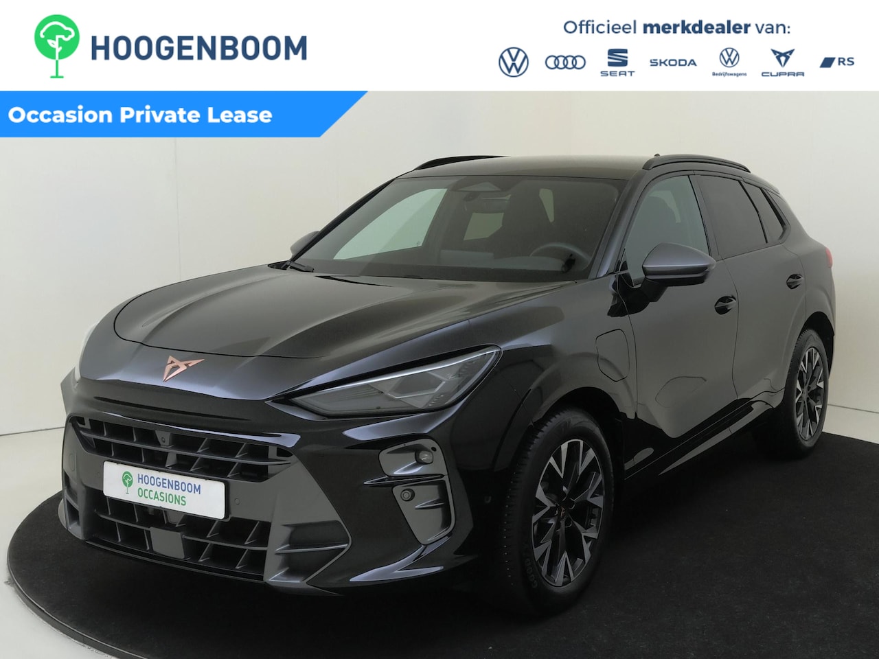 CUPRA Terramar - 1.5 TSI e-Hybrid Business | SoH 100% | 360 camera | Bestuurdersstoel met memory | Head-up - AutoWereld.nl