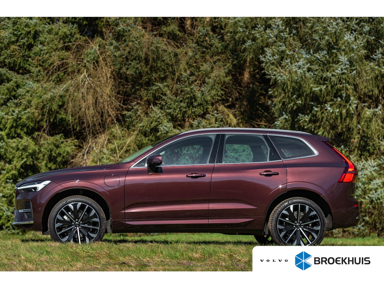 Volvo XC60 - T8 Ultra | Rood Leder! | B&W | Luchtvering | Pano | UNIEK!! | GeenImport! - AutoWereld.nl
