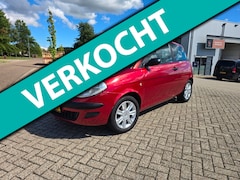 Lancia Y(psilon) - Ypsilon 1.2 Argento A.P.K, Airco, distributieriem vervangen