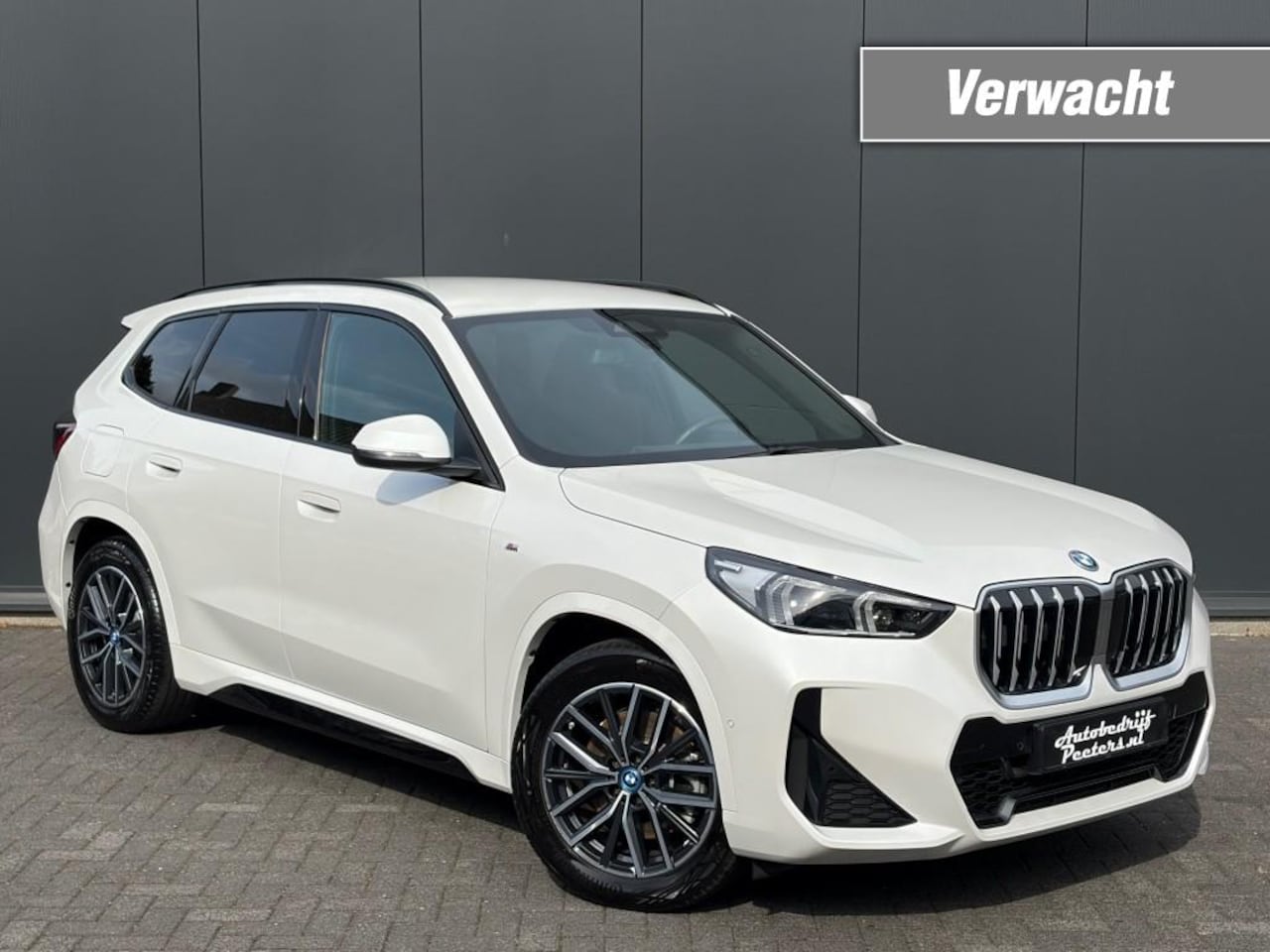 BMW X1 - xDrive25e M Sport Shadow Leder LED Camera Cruise E.klep Sfeerlicht - AutoWereld.nl