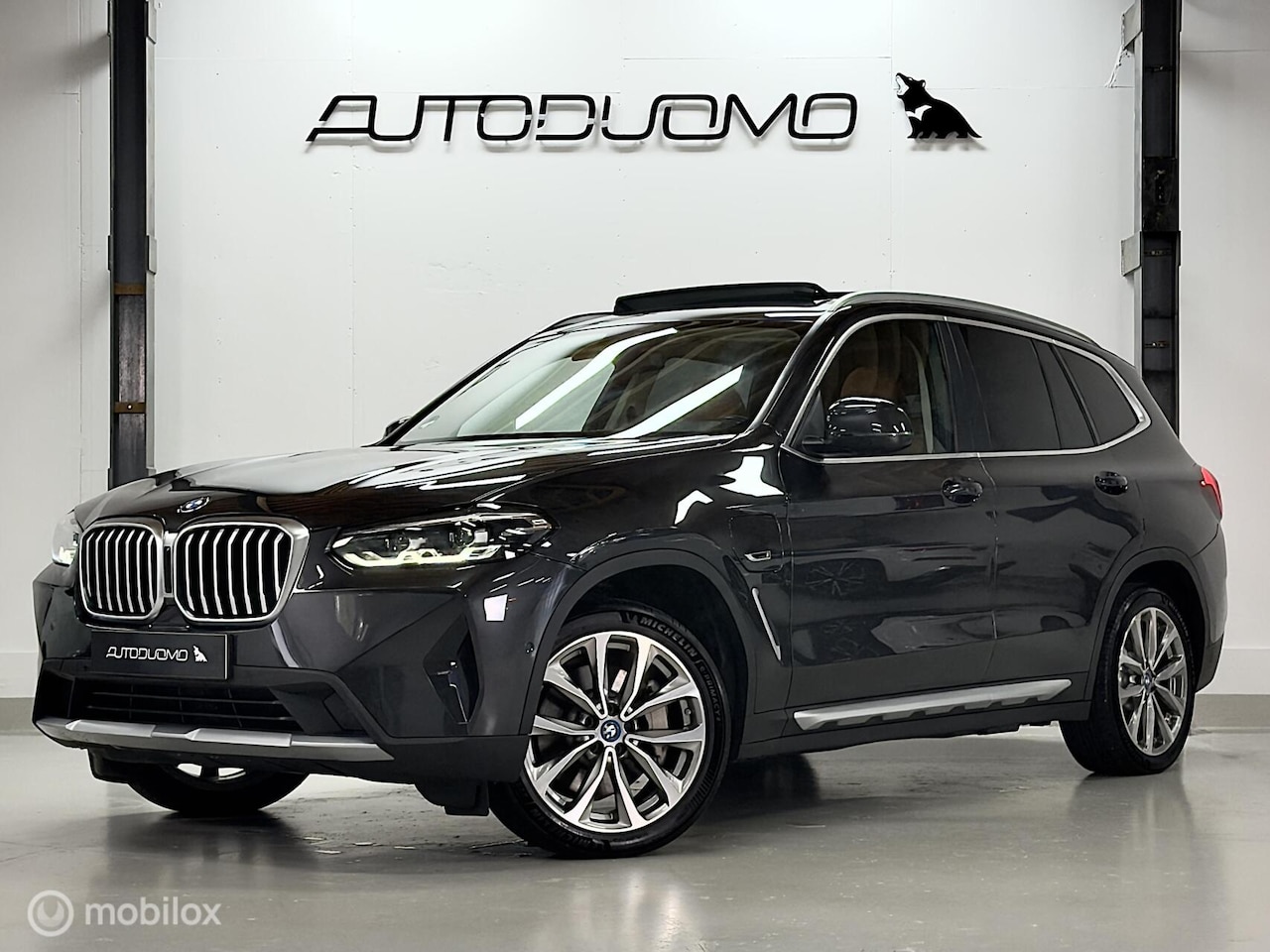 BMW X3 - xDrive30e High Executive | Pano | Trekhaak | Stuur- & stoelverwarming | Dodehoek | Camera - AutoWereld.nl