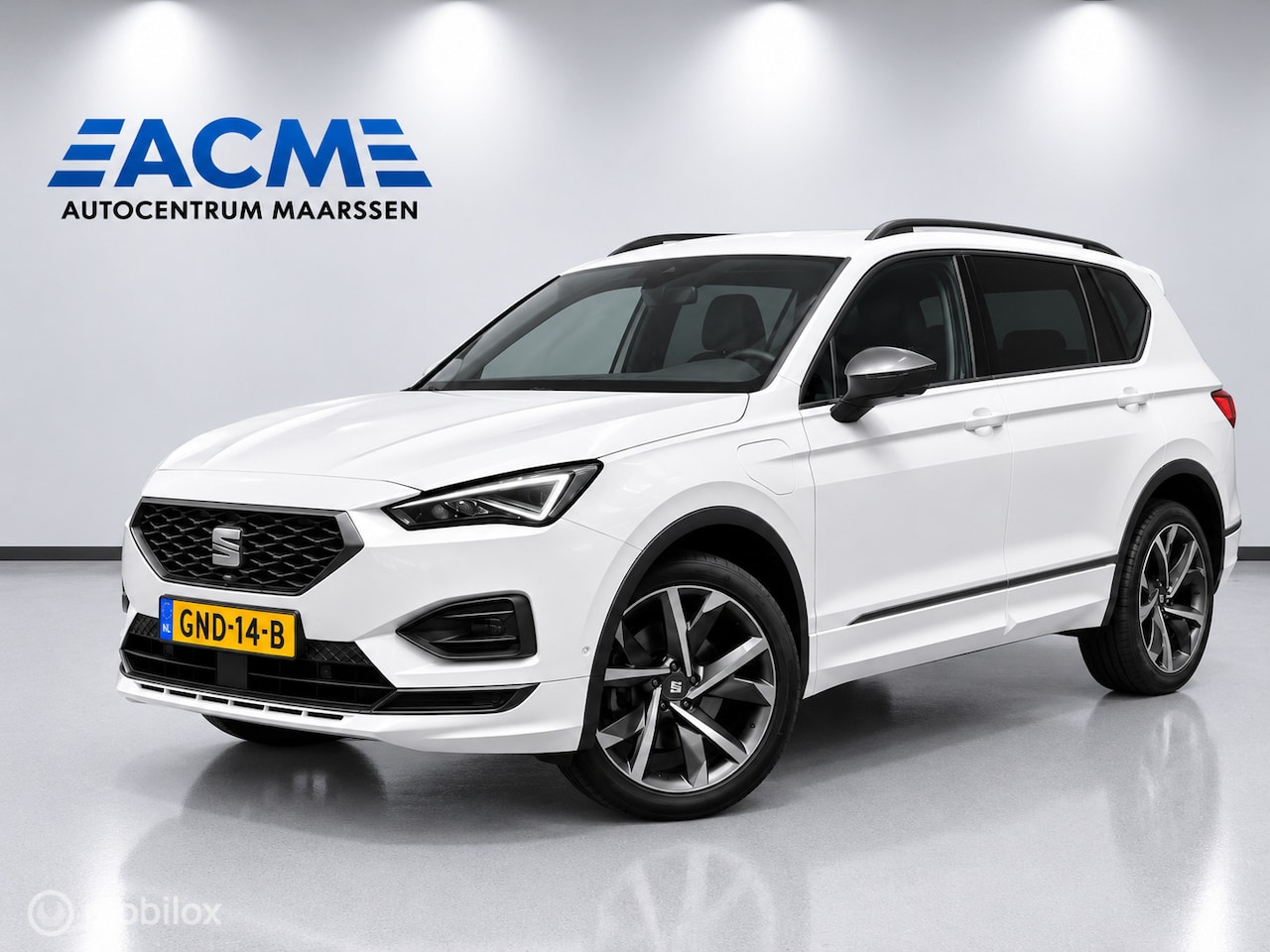SEAT Tarraco - 1.4 TSI e-Hybrid PHEV Xperience Bus Int. - AutoWereld.nl