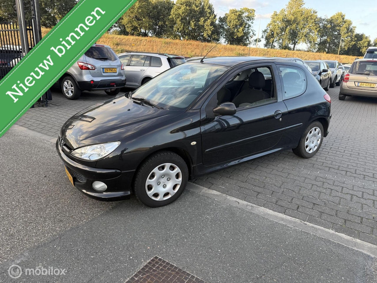 Peugeot 206 - 1.4 Air-line 3 AIRCO KM 157.000 - AutoWereld.nl