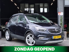 Opel Mokka X - 1.4 Turbo Bi-Fuel Innovation|Camera|Cruise|APK