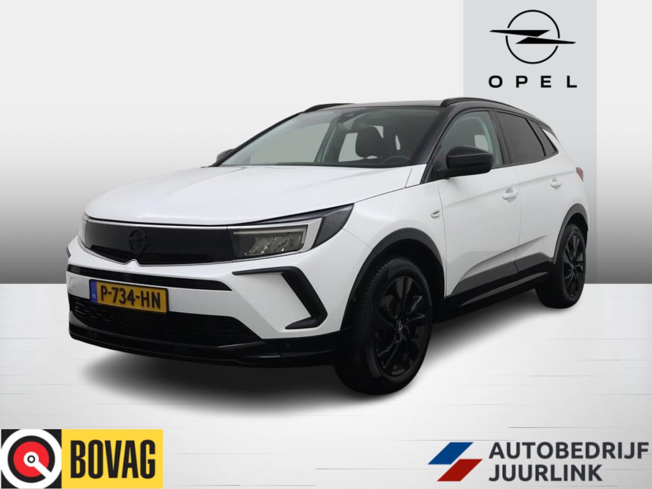 Opel Grandland - 1.2 Turbo Automaat GS Line Trekhaak/Winterpakket/ Camera/Nav/Vc/Ecc/Keyless - AutoWereld.nl