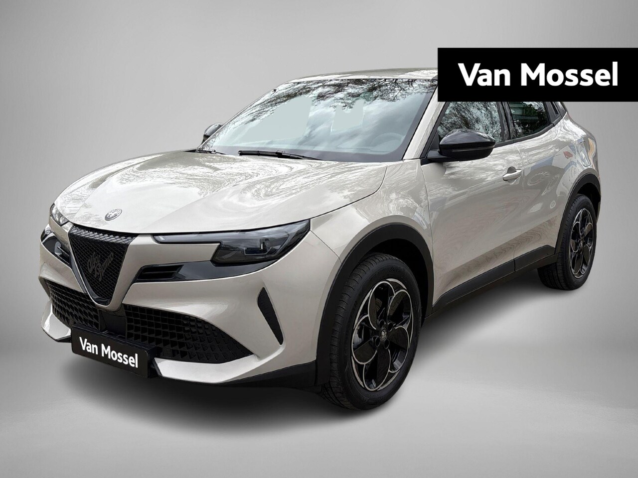 Alfa Romeo Junior - Elettrica 54 kWh | Apple Carplay/Android Auto | Climate Control | Parkeersensoren | Cruise - AutoWereld.nl