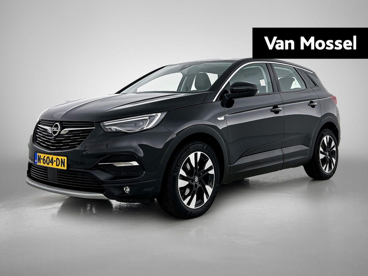 Opel Grandland X - 1.2 Turbo Business Elegance | lederen bekleding | Stoelverwarming/Ventilatie | Automaat | - AutoWereld.nl