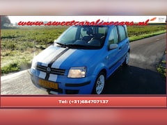 Fiat Panda - 1.2 Sport Custom Edition, Airco, Elec, pakket, Sport-uitlaat, 14"Lmv's