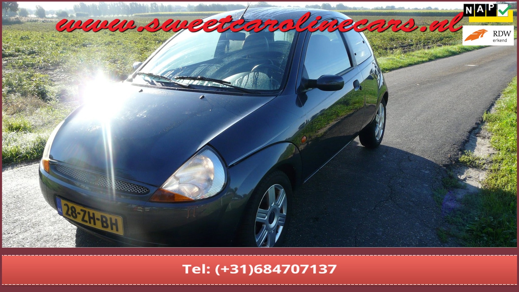 Ford Ka - 1.3 Collection 1.3 Collection,Limited Edition!,Airco,Leder,Elec.pakket,Lmv's! - AutoWereld.nl