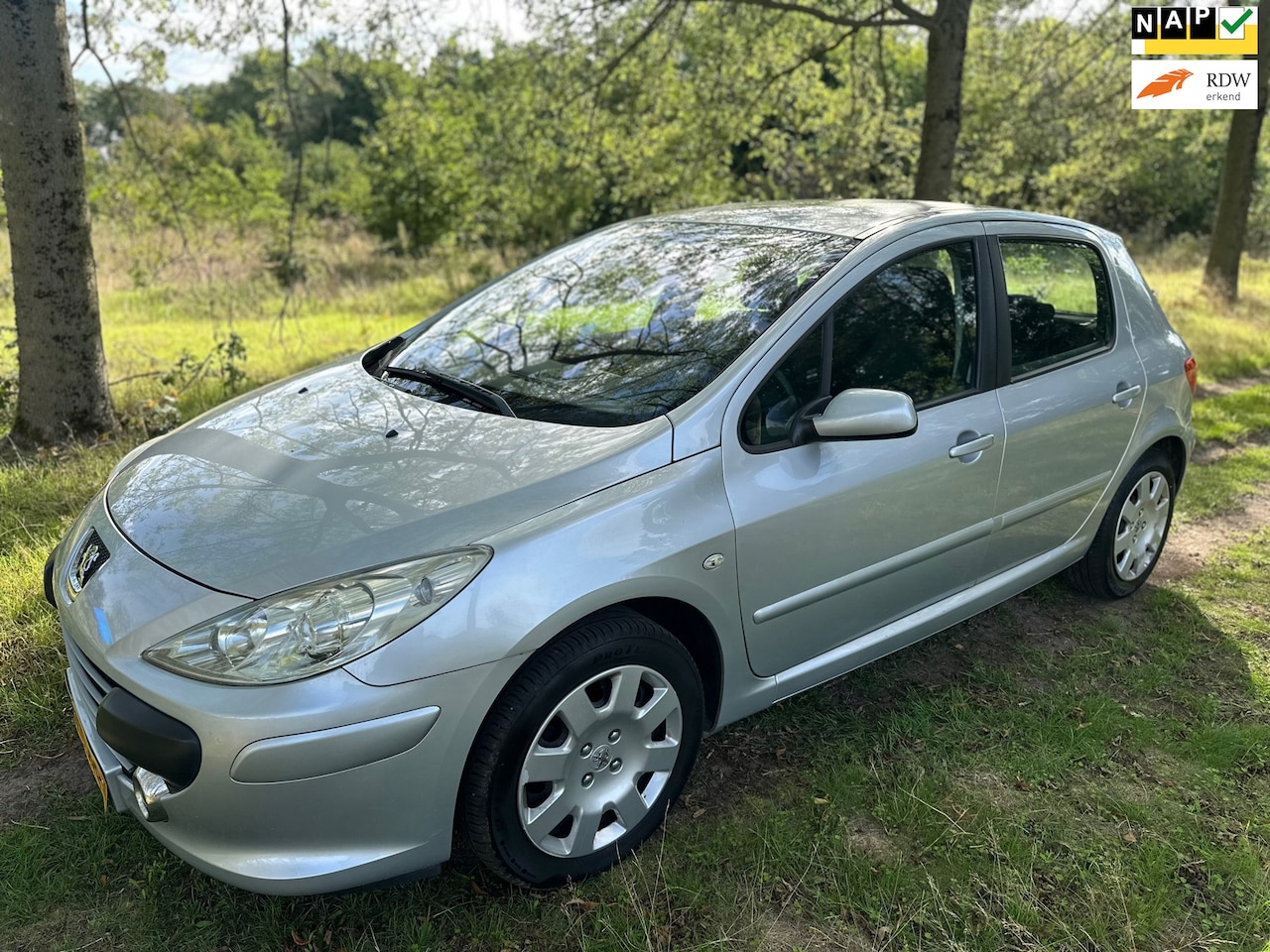 Peugeot 307 - APK 18-06-2027 - AutoWereld.nl
