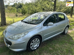 Peugeot 307 - APK 18-06-2027