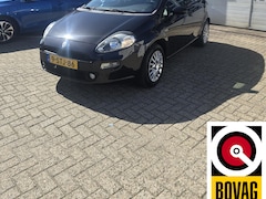 Fiat Punto Evo - 1.2 Pop