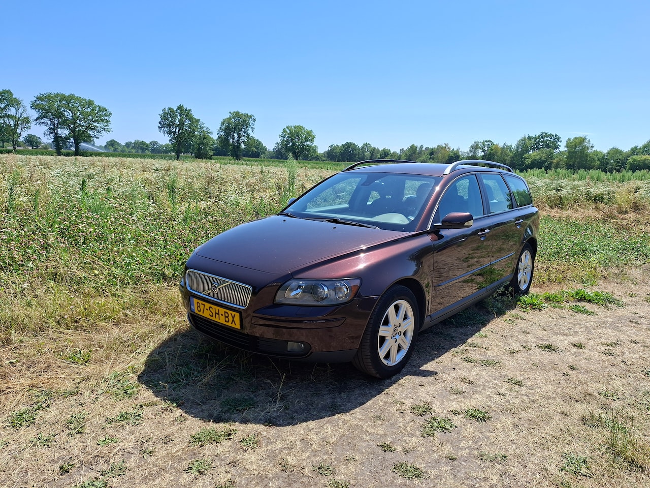 Volvo V50 - 1.8 Momentum Xenon, trekhaak, regensensor, enz. - AutoWereld.nl