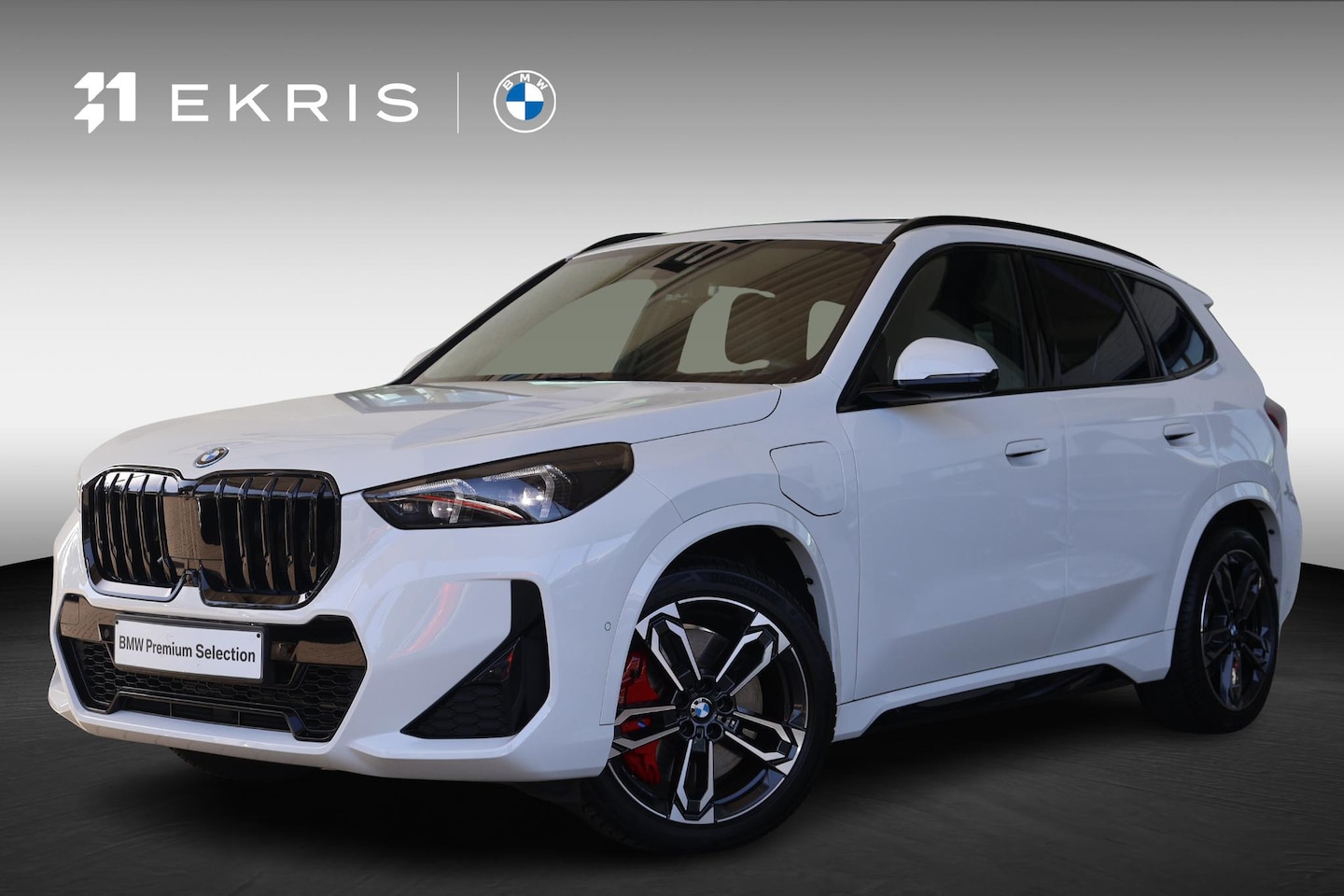BMW X1 - xDrive25e M sport pro | Panoramadak | Drive Assistant plus | Harman Kardon - AutoWereld.nl