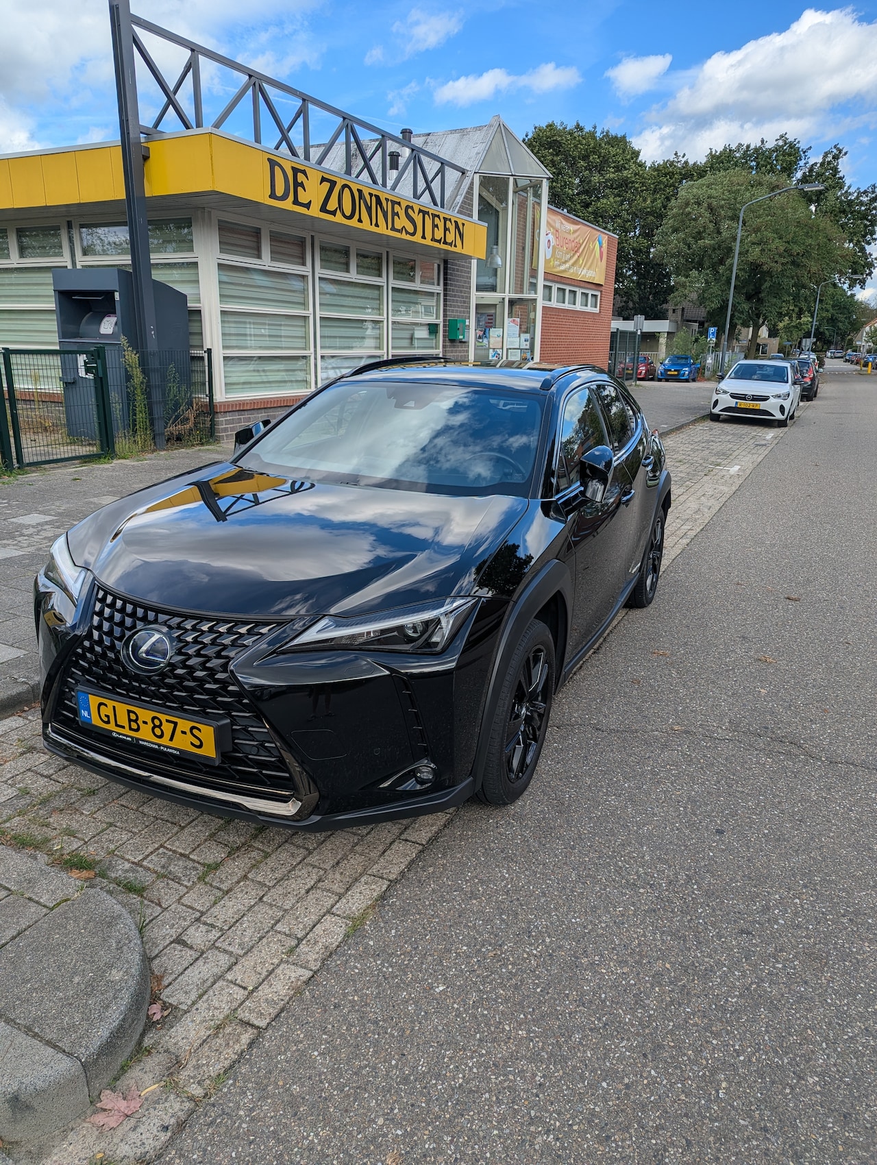 Lexus UX - 250h Business Line - AutoWereld.nl