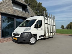 Peugeot Boxer - 335 2.2 Glaswagen HDI L2H2
