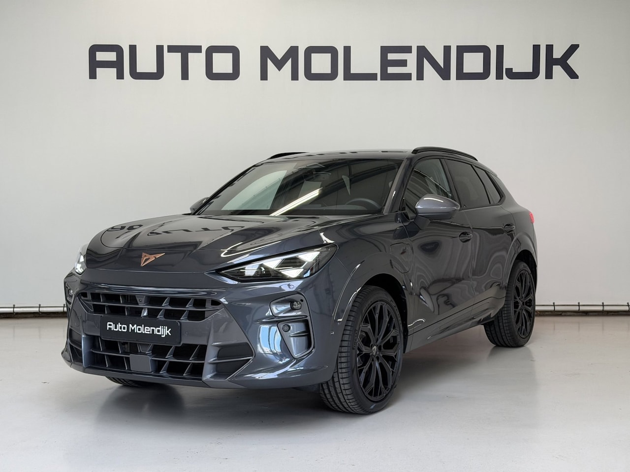 CUPRA Terramar - 1.5 TSI e-Hybrid HuD / el klep / 20 inch / 360 cam / 5jaar Garantie - AutoWereld.nl