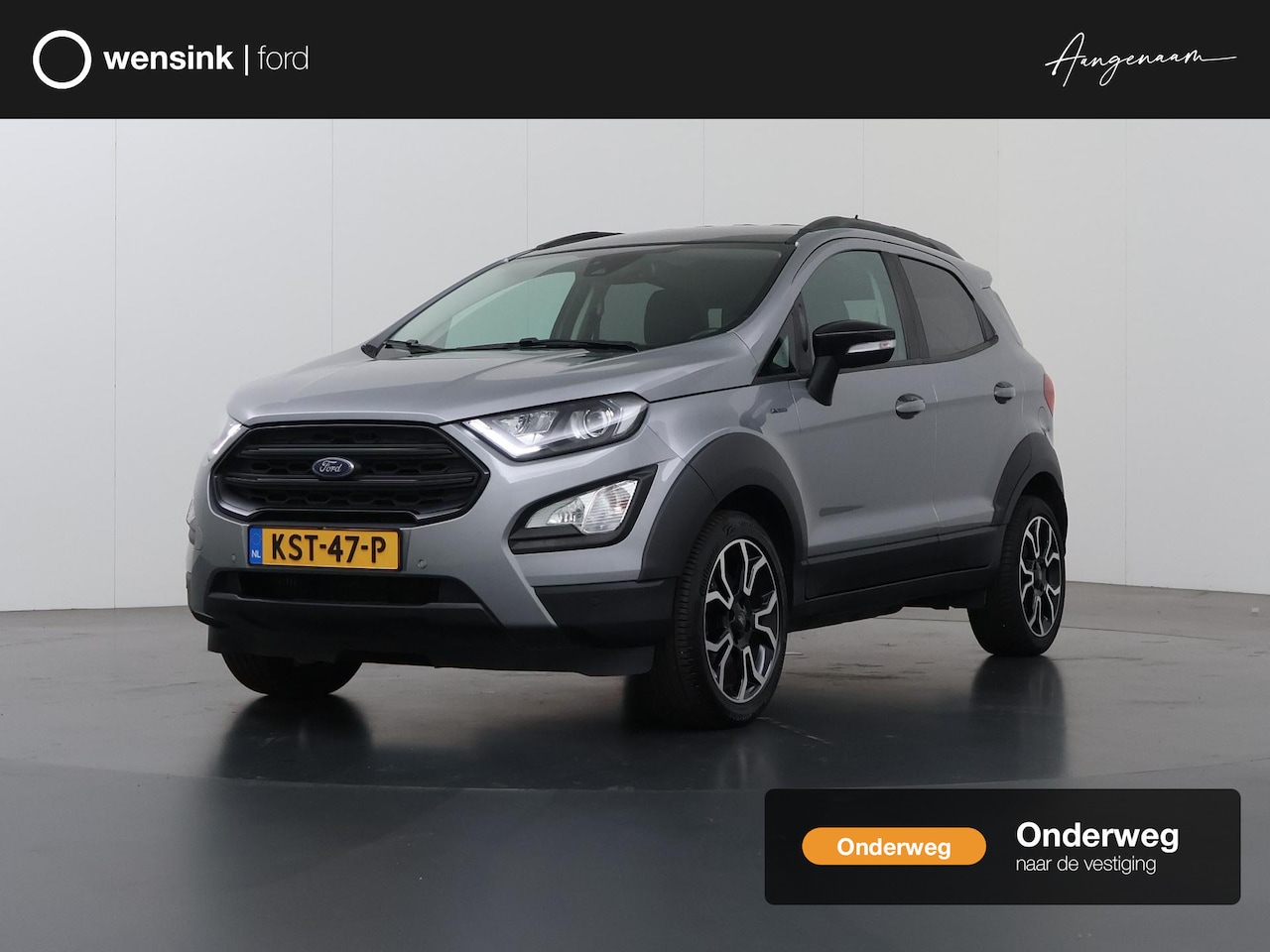 Ford EcoSport - 1.0 EcoBoost Active | Navigatie | Achteruitrijcamera | B&O Audio | Winterpakket | Lederen - AutoWereld.nl