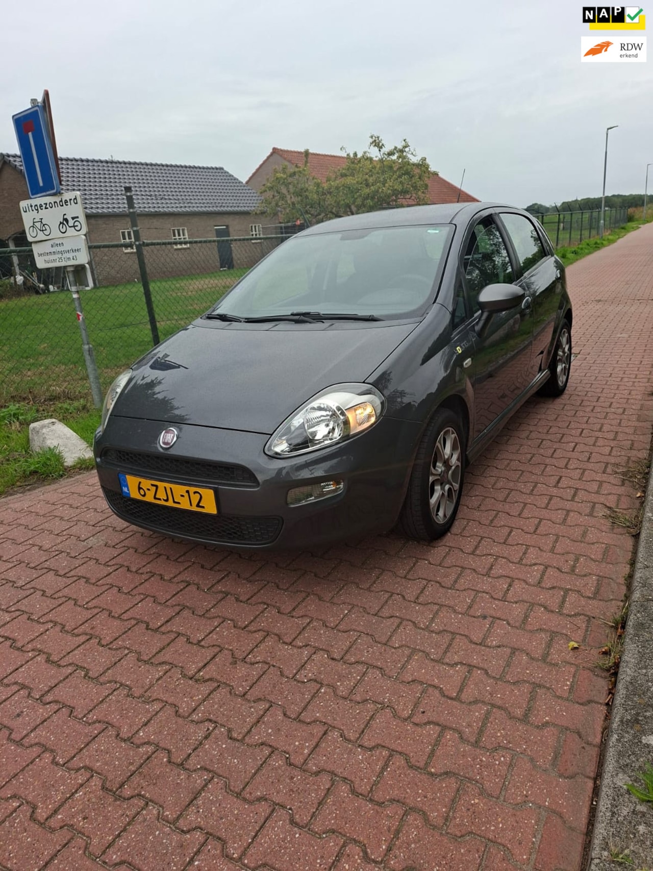 Fiat Punto Evo - 0.9 TwinAir Young NAP NWE APK! - AutoWereld.nl