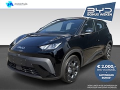BYD Dolphin Surf - Comfort 43, 2 kWh | Direct leverbaar | €2000, - Actievoordeel | 360° camera | Apple Carpla