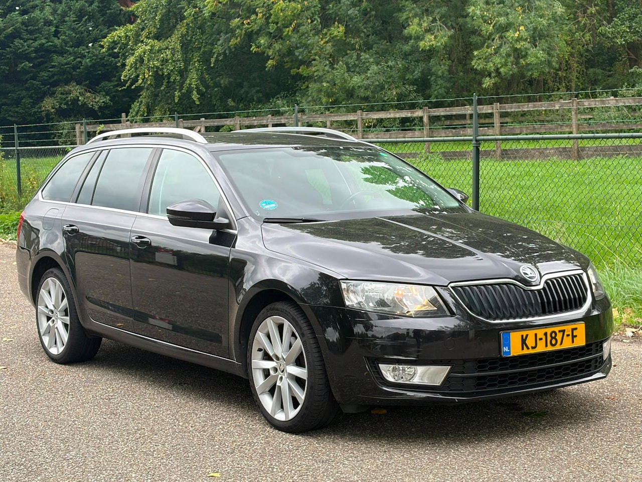 Skoda Octavia Combi - 1.0 TSI Greentech Ambition Business /Automaat/Navi/Camera/ - AutoWereld.nl
