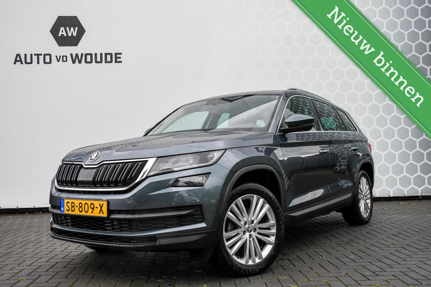 Skoda Kodiaq - 1.4 TSI Style Business 7p 7 persoons Trekhaak - AutoWereld.nl
