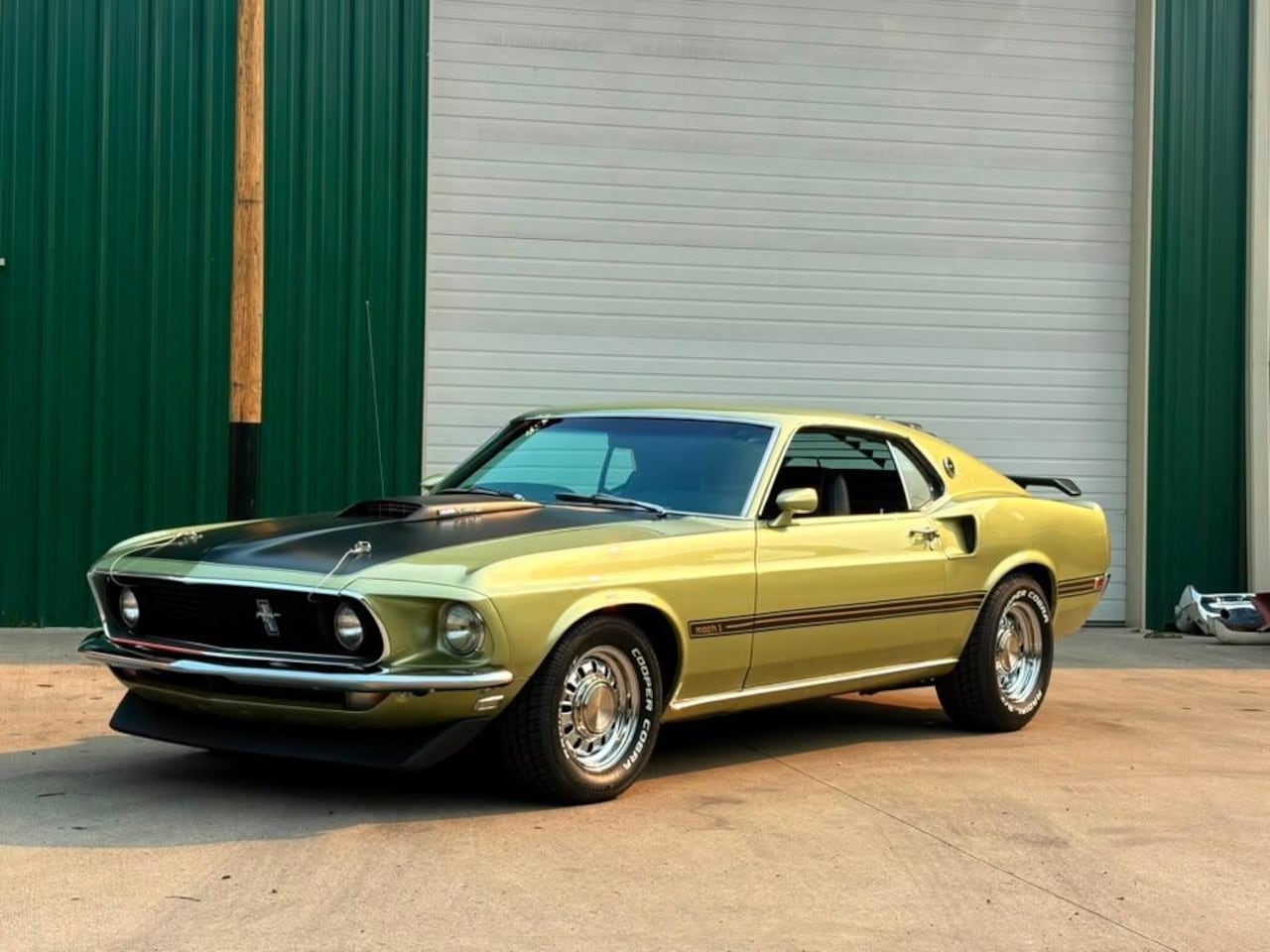 Ford Mustang - Mach 1 - AutoWereld.nl
