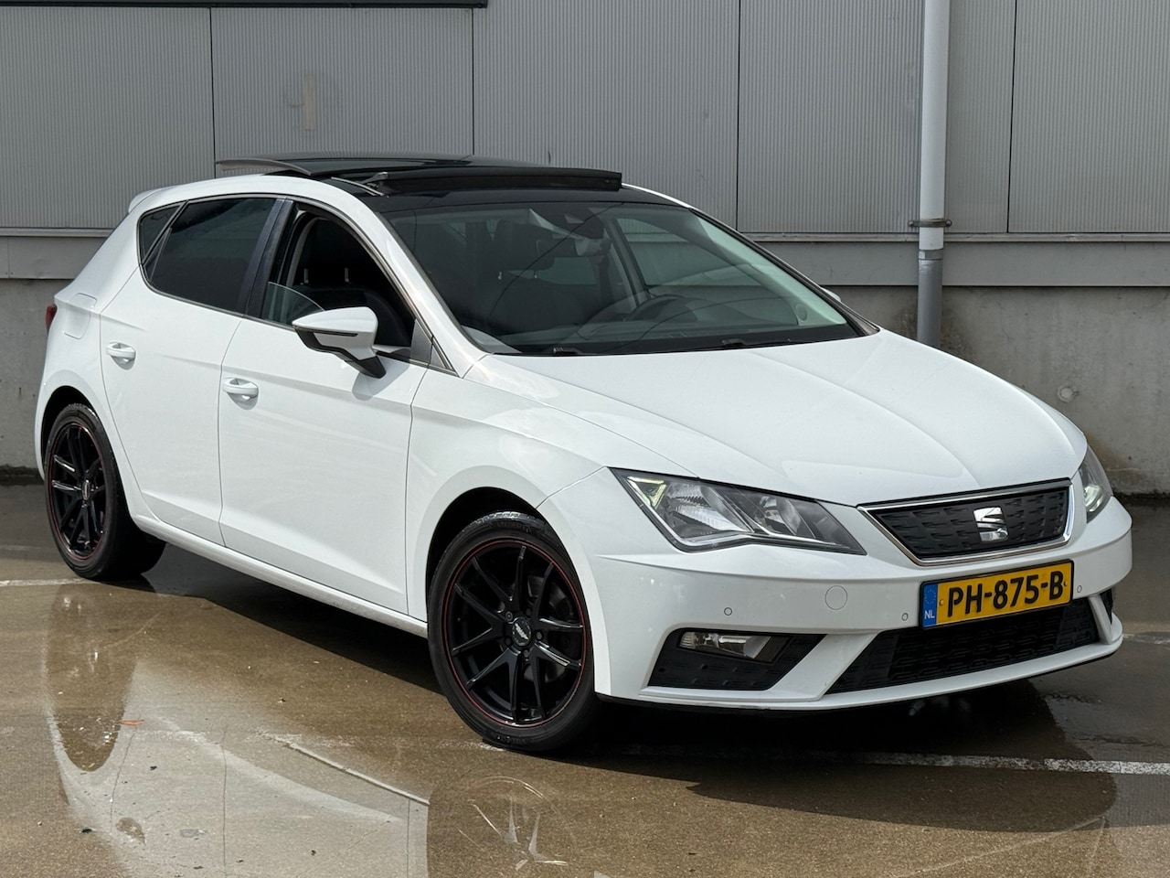 SEAT Leon - 1.0 EcoTSI / NAP / Navi / Panorma / Leder - Alcantara / Carplay / Inruil mog. - AutoWereld.nl
