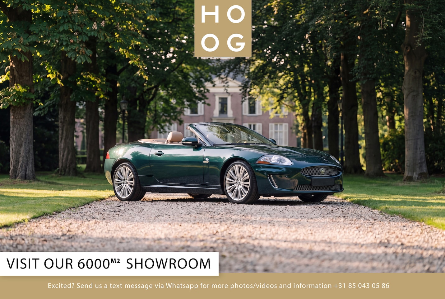 Jaguar XK - 5.0 Convertible - AutoWereld.nl