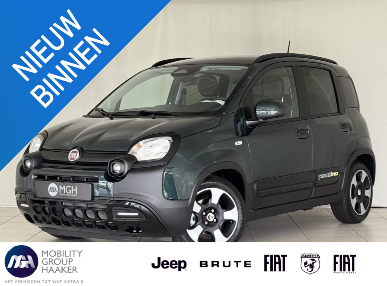Fiat Pandina - 1.0 Cross | Apple/Android | Cruise Control | Parkeersensoren Achter - AutoWereld.nl