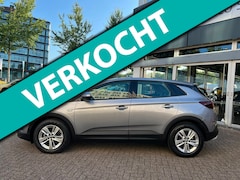 Opel Grandland X - 1.2 Turbo Business Edition
