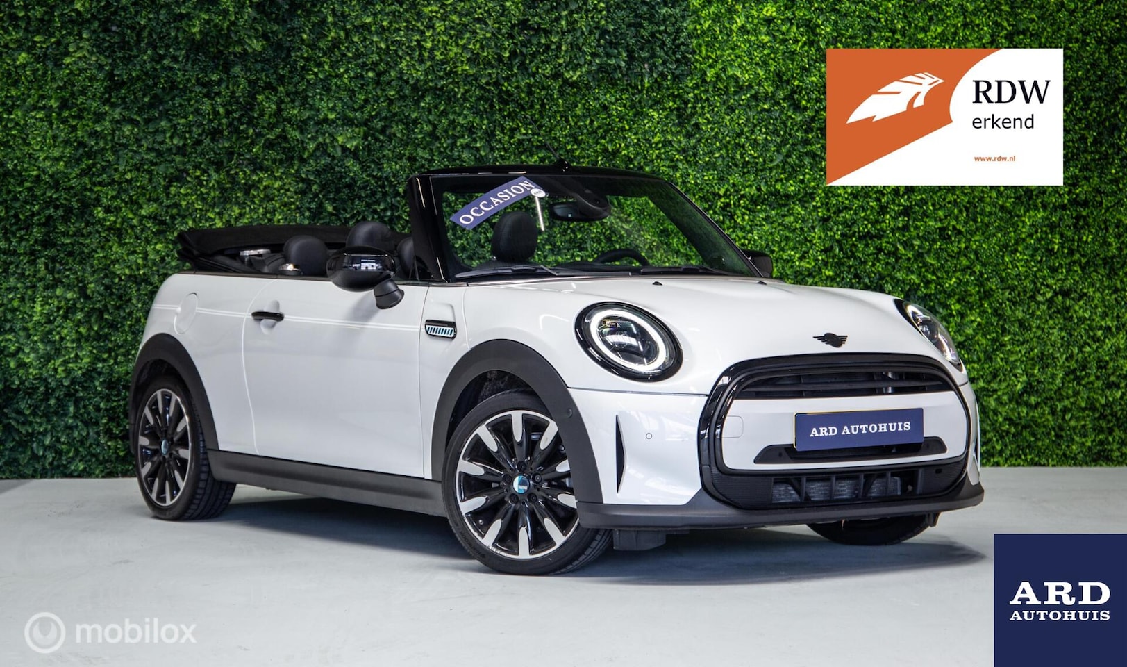MINI Cabrio - 1.5 Cooper Seaside Ed.| Stoelv. |Cam.|Carplay|AC - AutoWereld.nl
