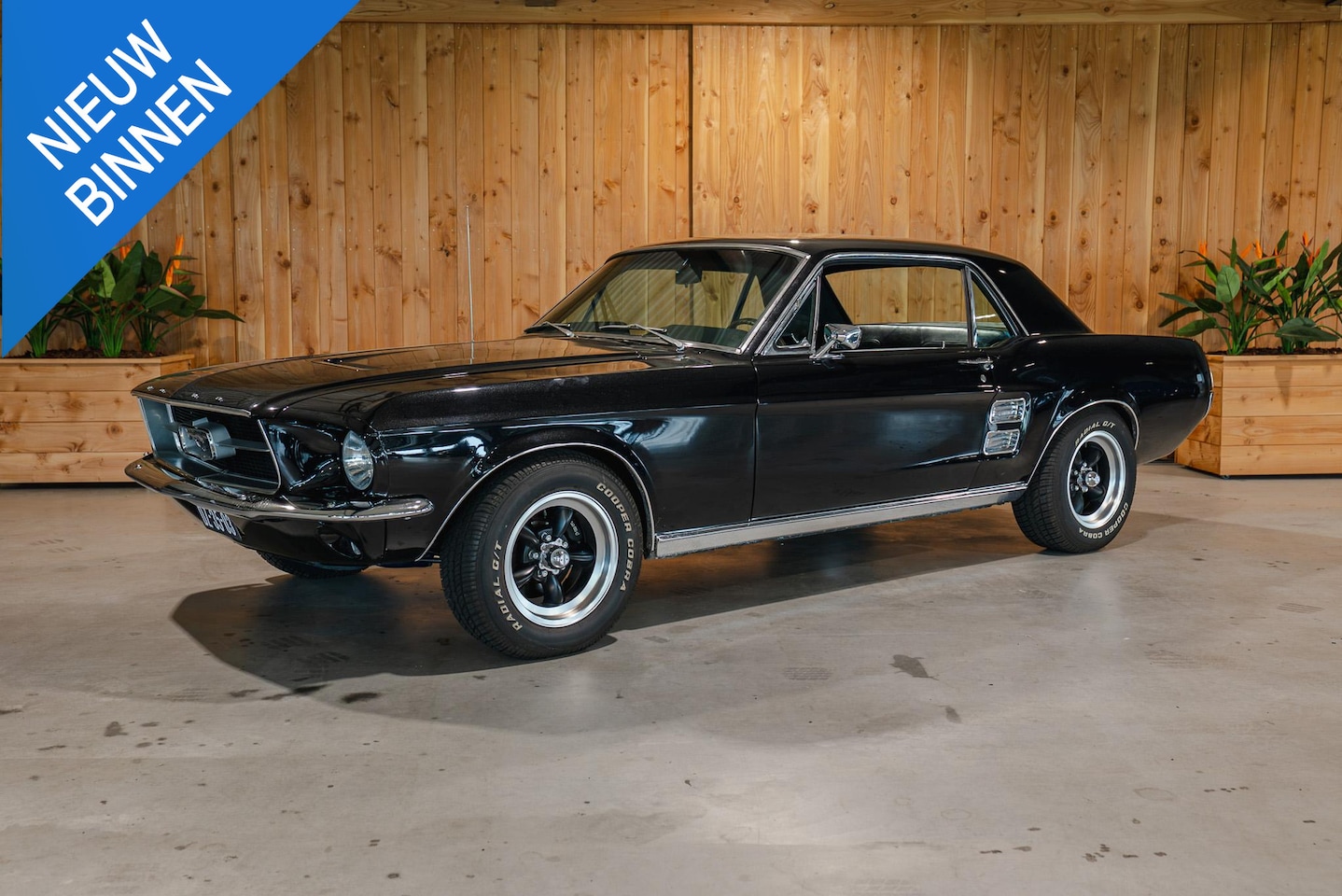 Ford Mustang - GT | Manual | S-Code 390 Ford Mustang - AutoWereld.nl