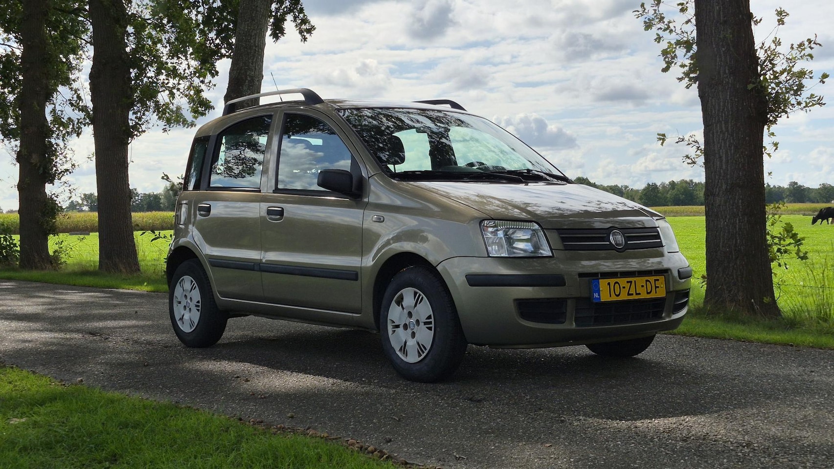 Fiat Panda - 1.2 Dynamic Nieuwe distributieriem I APK 27-08-2027 I Nette auto I City stuurbekrachtiging - AutoWereld.nl