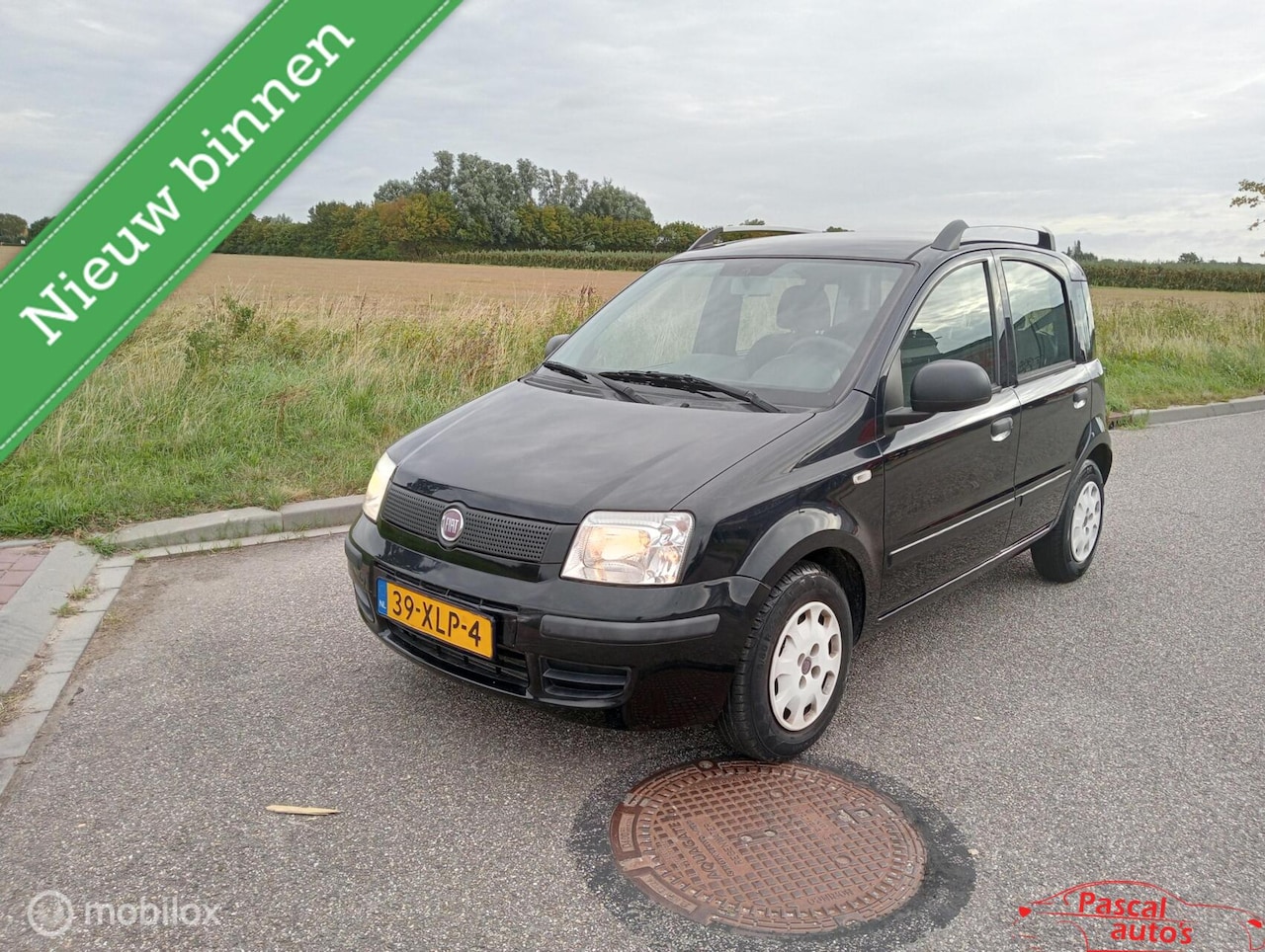 Fiat Panda - 1.2 Classic nap apk airco hoge instap - AutoWereld.nl